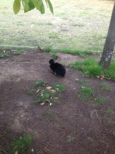 f:id:endchip:20130423142537j:plain f:id:endchip:20130423142537j:plain