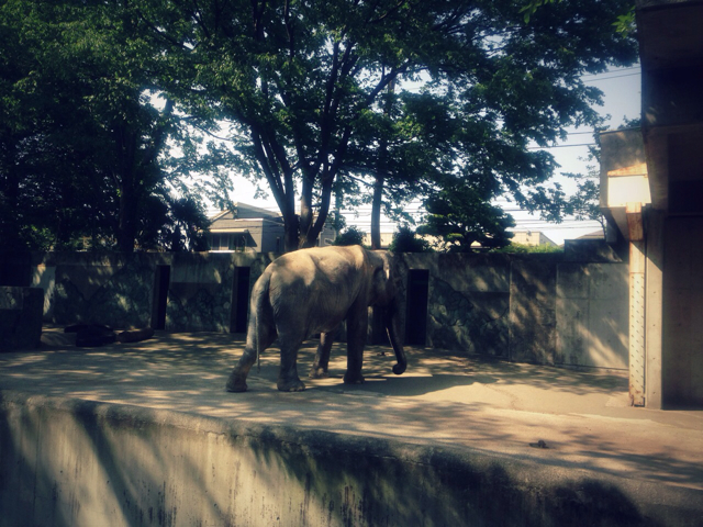 f:id:endchip:20130517173524j:plain f:id:endchip:20130517173524j:plain