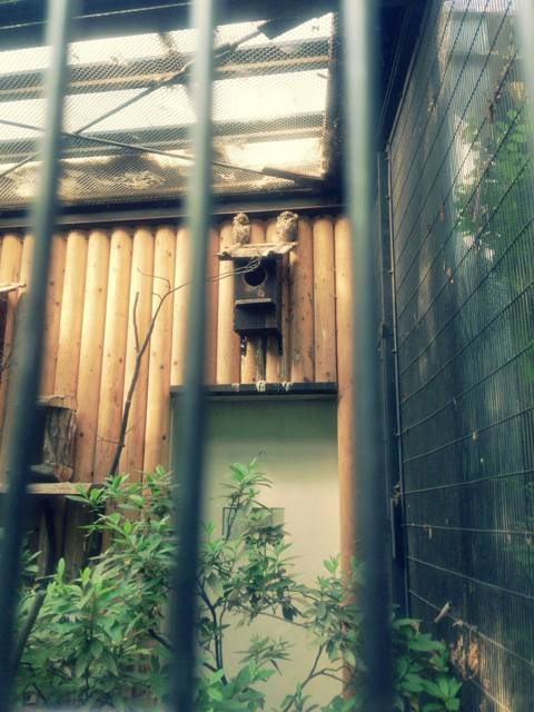 f:id:endchip:20130517173700j:plain f:id:endchip:20130517173700j:plain