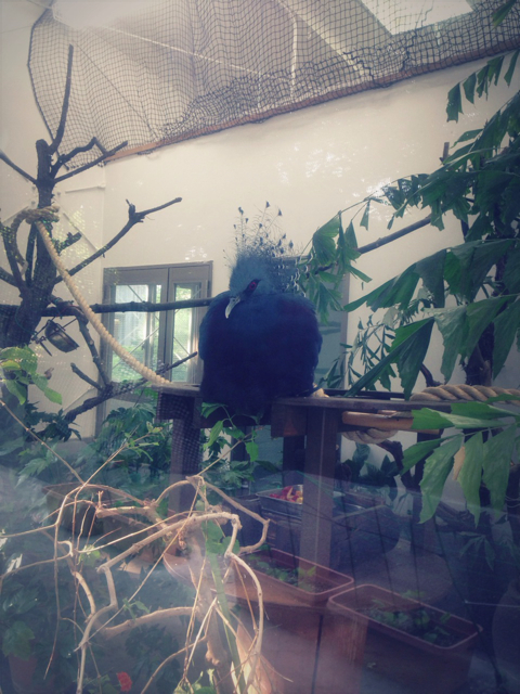 f:id:endchip:20130517190734j:plain f:id:endchip:20130517190734j:plain