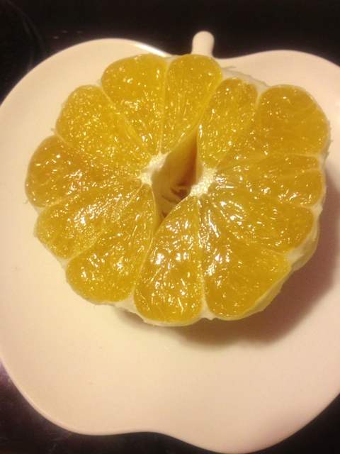 f:id:endchip:20130530101646j:plain f:id:endchip:20130530101646j:plain