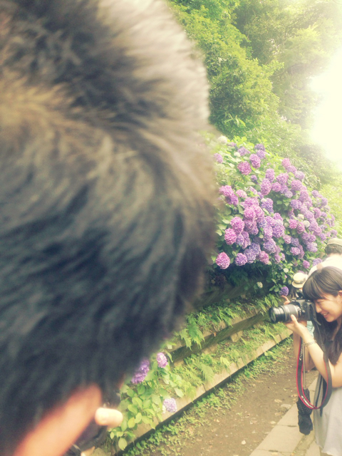f:id:endchip:20130624105729j:plain f:id:endchip:20130624105729j:plain