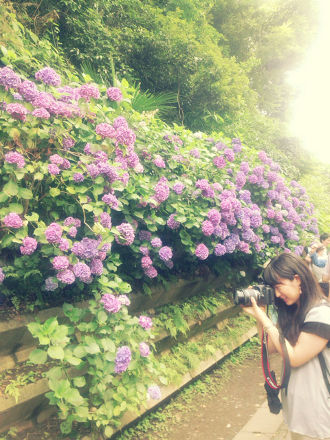 f:id:endchip:20130624105800j:plain f:id:endchip:20130624105800j:plain