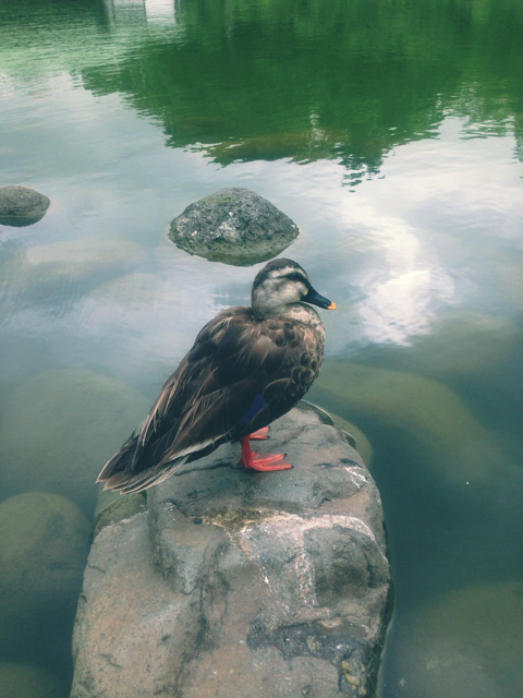 f:id:endchip:20130704095134j:plain f:id:endchip:20130704095134j:plain