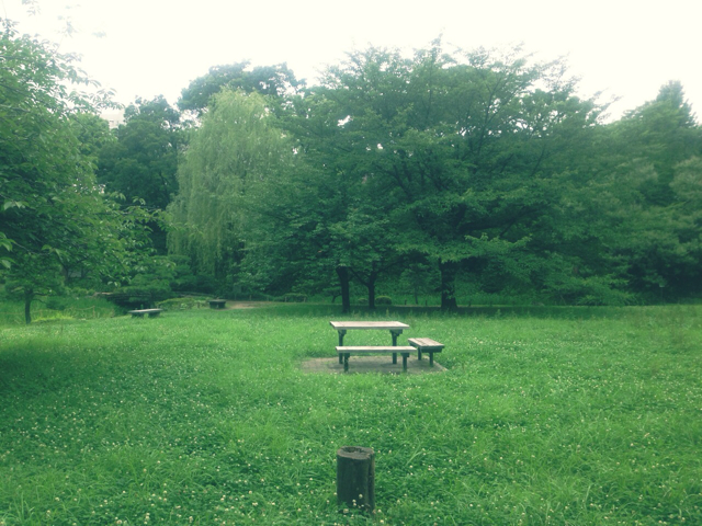 f:id:endchip:20130704095413j:plain f:id:endchip:20130704095413j:plain