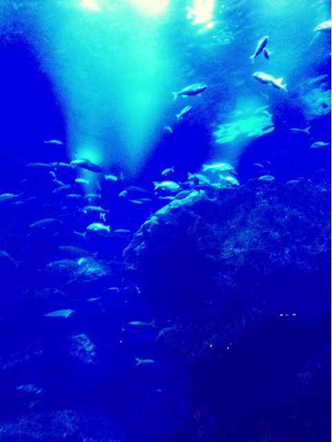 f:id:endchip:20130902081439j:plain f:id:endchip:20130902081439j:plain