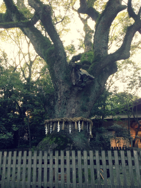 f:id:endchip:20131028062846j:plain f:id:endchip:20131028062846j:plain