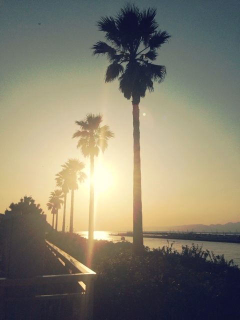 f:id:endchip:20140106235410j:plain f:id:endchip:20140106235410j:plain