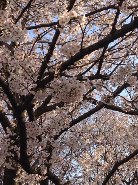 f:id:endchip:20140406174540j:plain f:id:endchip:20140406174540j:plain