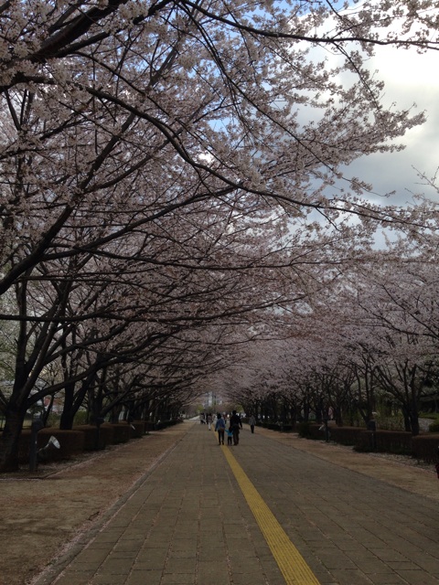 f:id:endchip:20140406174607j:plain f:id:endchip:20140406174607j:plain