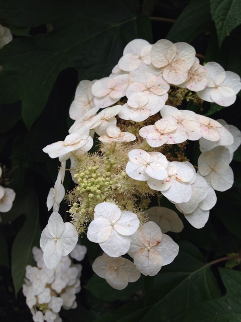 f:id:endchip:20140616220505j:plain f:id:endchip:20140616220505j:plain