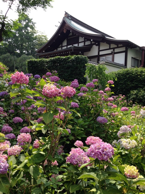 f:id:endchip:20140616220535j:plain f:id:endchip:20140616220535j:plain