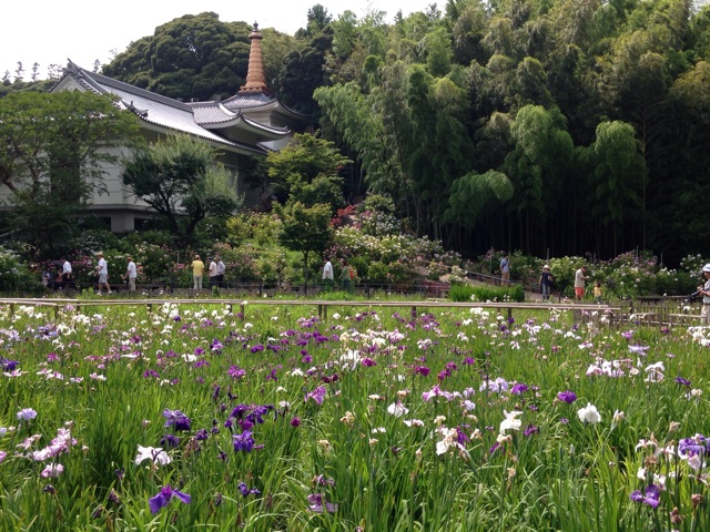 f:id:endchip:20140616220656j:plain f:id:endchip:20140616220656j:plain