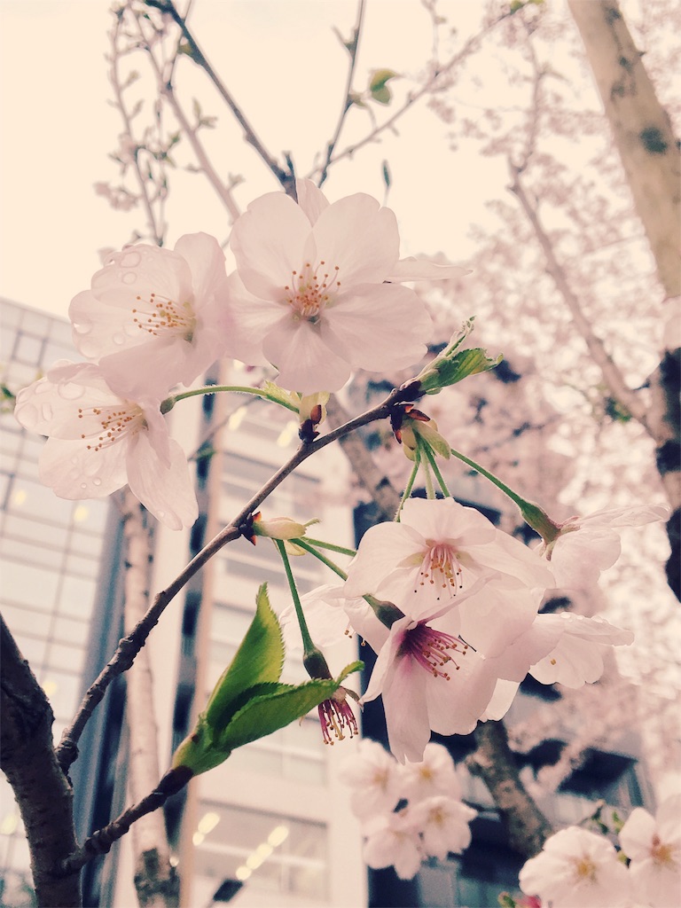 f:id:endchip:20160405222154j:image f:id:endchip:20160405222154j:image