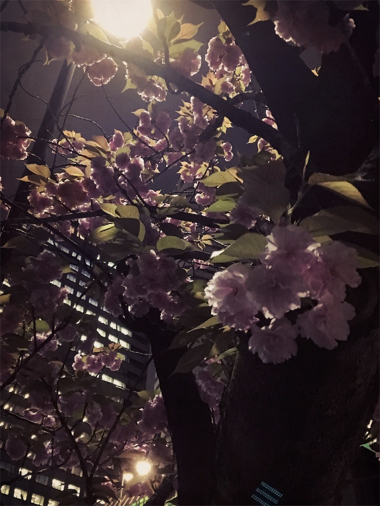 f:id:endchip:20160416193850j:image f:id:endchip:20160416193850j:image