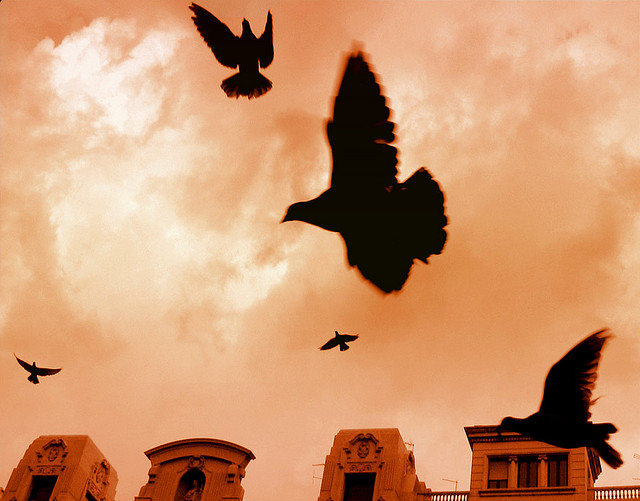 f:id:enjoy_goodjob:20140205002139j:plain f:id:enjoy_goodjob:20140205002139j:plain