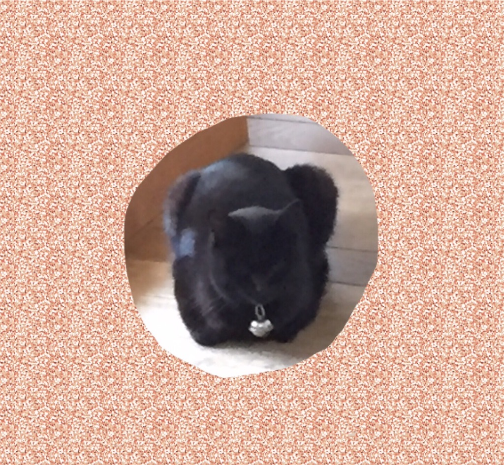 f:id:enjoy_sushi_club8000:20160502163721j:image f:id:enjoy_sushi_club8000:20160502163721j:image