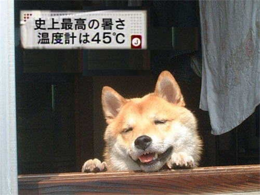 f:id:enjoy_sushi_club8000:20160623224934j:image f:id:enjoy_sushi_club8000:20160623224934j:image