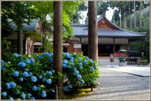 f:id:enjoyprojectkyoto7:20150609090101j:image f:id:enjoyprojectkyoto7:20150609090101j:image