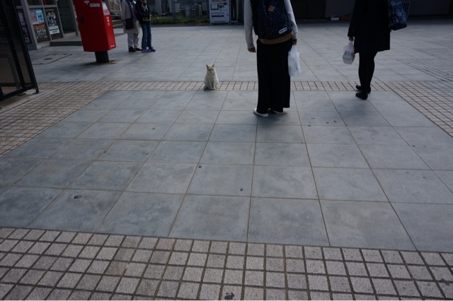 f:id:enoh:20140407091242j:plain f:id:enoh:20140407091242j:plain
