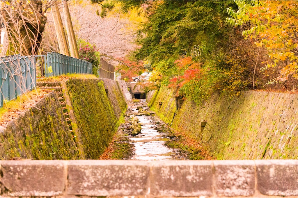 f:id:enoh:20151207170304j:image f:id:enoh:20151207170304j:image