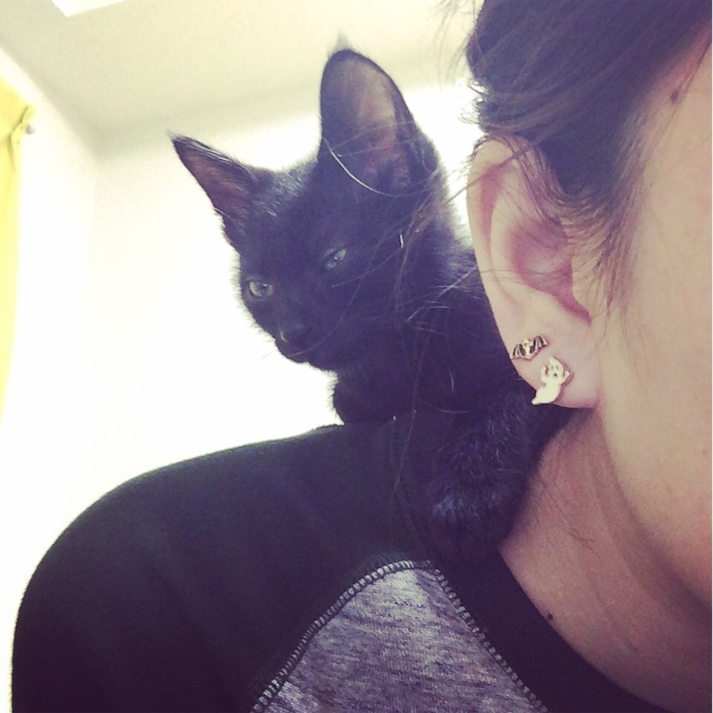 f:id:ensei_diary:20151013171404j:image f:id:ensei_diary:20151013171404j:image