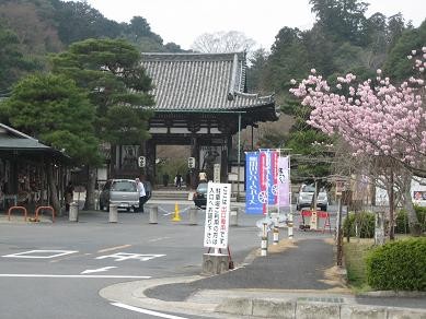 f:id:eqyoshi:20080324103431j:image f:id:eqyoshi:20080324103431j:image