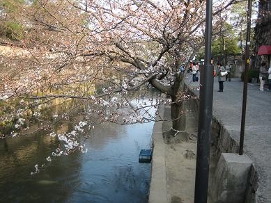 f:id:eqyoshi:20080331161251j:image f:id:eqyoshi:20080331161251j:image