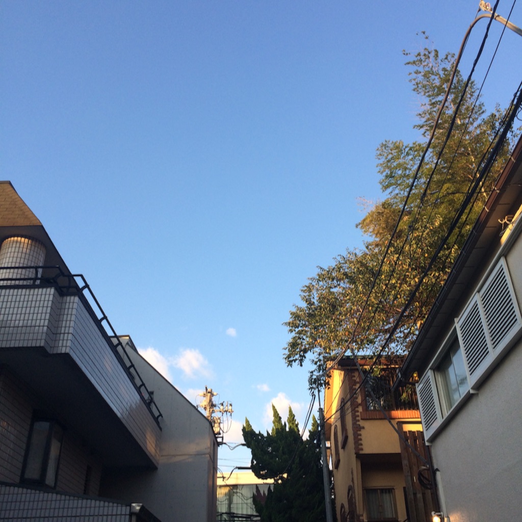 f:id:erc4306:20151007180844j:image f:id:erc4306:20151007180844j:image