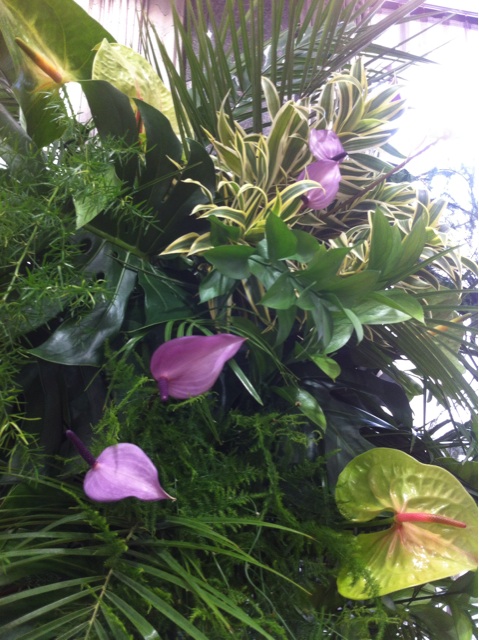 f:id:erika0706:20140512113421j:plain f:id:erika0706:20140512113421j:plain