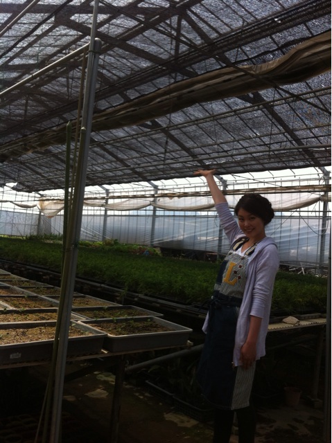 f:id:erika0706:20140515011826j:plain f:id:erika0706:20140515011826j:plain