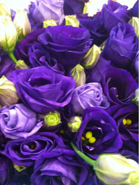 f:id:erika0706:20140618211114j:plain f:id:erika0706:20140618211114j:plain