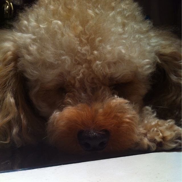 f:id:erika0706:20140702190416j:plain f:id:erika0706:20140702190416j:plain