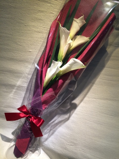 f:id:erika0706:20150213171500j:plain f:id:erika0706:20150213171500j:plain