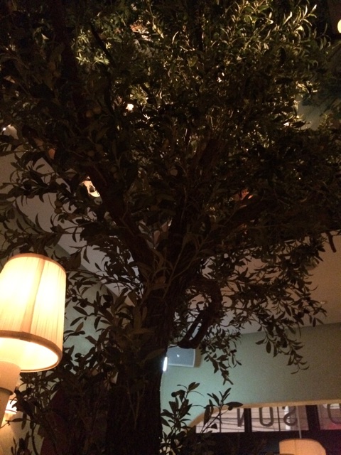 f:id:erika0706:20150218190922j:plain f:id:erika0706:20150218190922j:plain