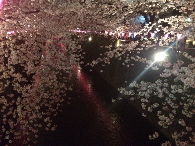 f:id:erika0706:20150404102823j:plain f:id:erika0706:20150404102823j:plain