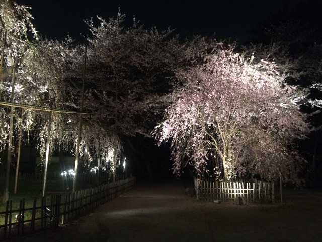 f:id:erika0706:20150405101319j:plain f:id:erika0706:20150405101319j:plain