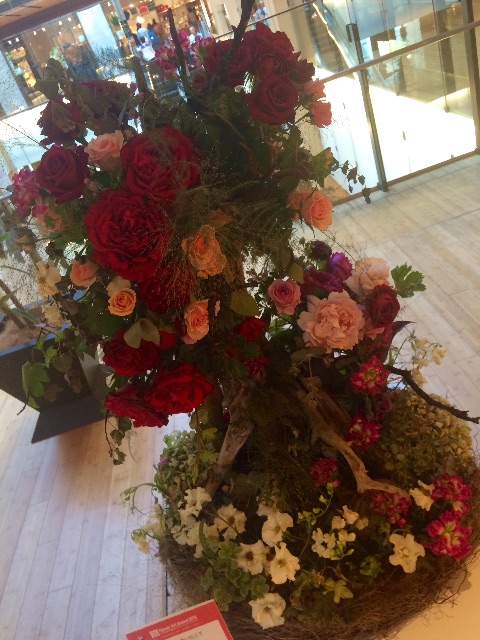 f:id:erika0706:20150429174716j:image f:id:erika0706:20150429174716j:image