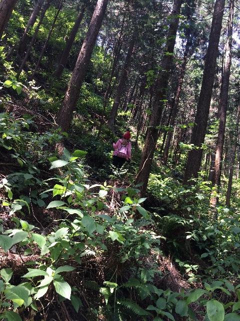 f:id:erika0706:20150511233251j:image f:id:erika0706:20150511233251j:image
