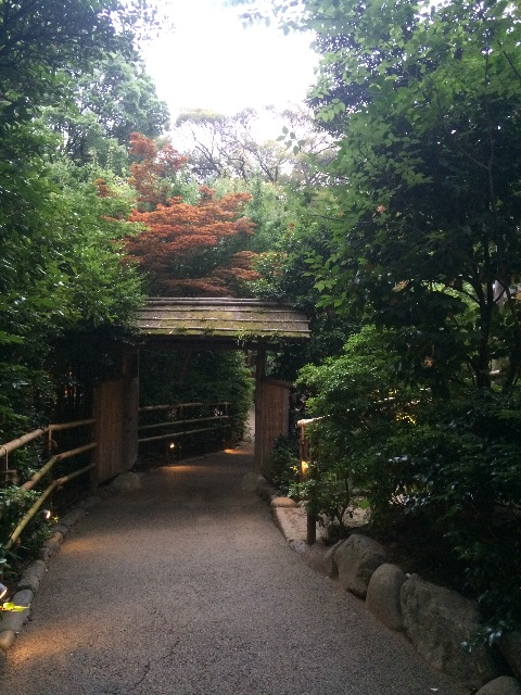 f:id:erika0706:20150617232128j:image f:id:erika0706:20150617232128j:image
