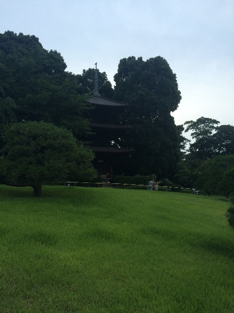 f:id:erika0706:20150617232226j:image f:id:erika0706:20150617232226j:image