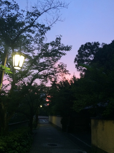f:id:erika0706:20150617232601j:image f:id:erika0706:20150617232601j:image