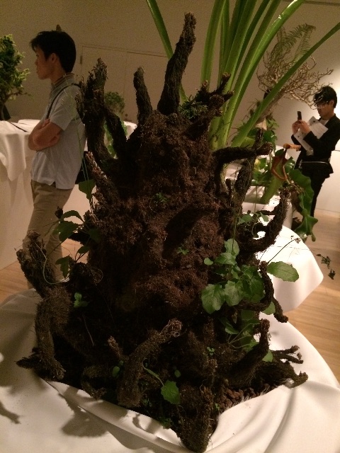 f:id:erika0706:20150705222156j:image f:id:erika0706:20150705222156j:image