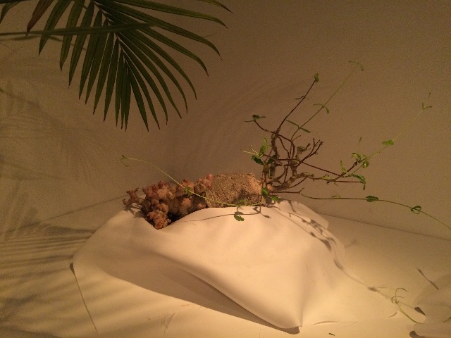 f:id:erika0706:20150705222543j:image f:id:erika0706:20150705222543j:image