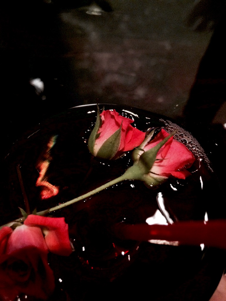 f:id:erika0706:20150812131622j:image f:id:erika0706:20150812131622j:image