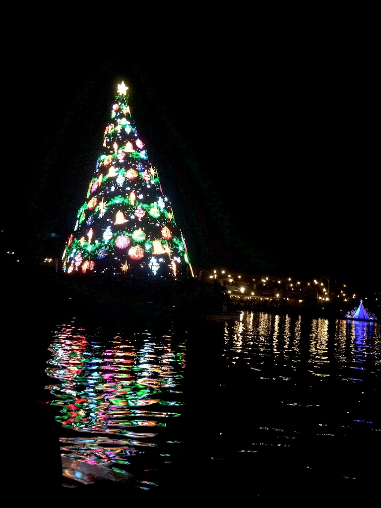 f:id:erika0706:20151120192604j:image f:id:erika0706:20151120192604j:image