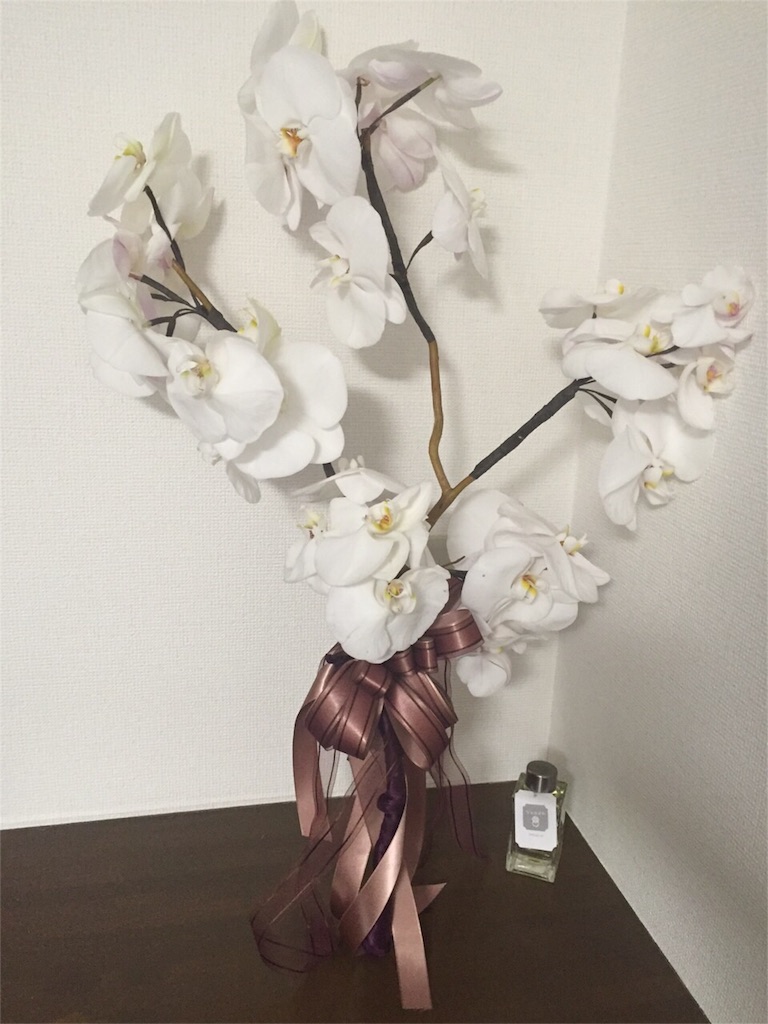 f:id:erika0706:20160322084611j:image f:id:erika0706:20160322084611j:image