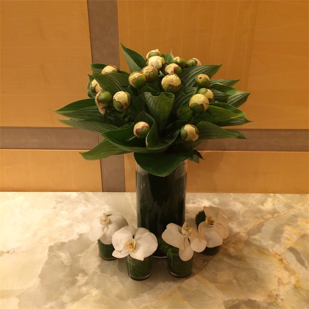 f:id:erika0706:20160529204244j:image f:id:erika0706:20160529204244j:image