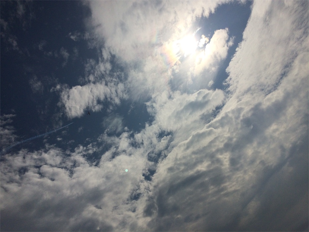 f:id:erika0706:20160607112125j:image f:id:erika0706:20160607112125j:image