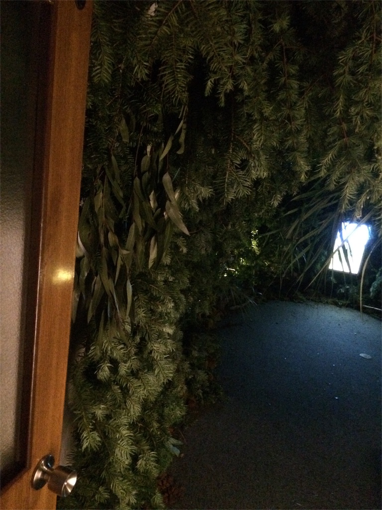 f:id:erika0706:20160705211632j:image